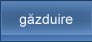 gazduire web hosting romania